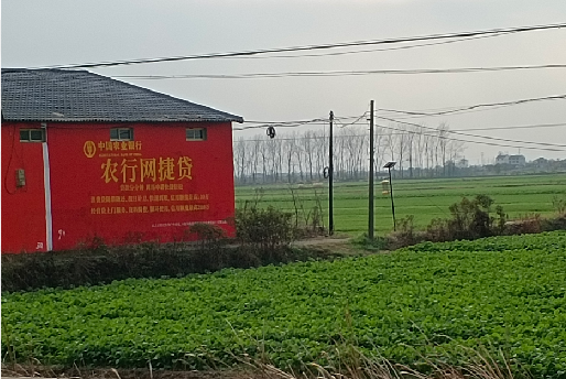  禹州如何防止墙体广告褪色呢？