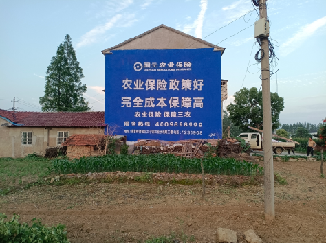  禹州墙体广告为何受追捧？